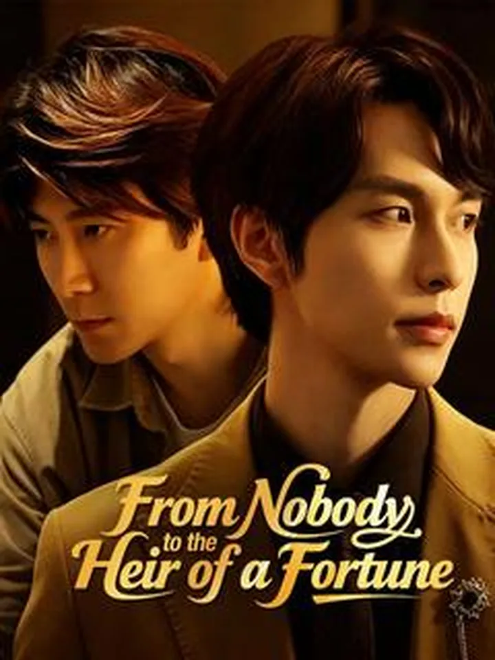 From Nobody to the Heir of a Fortune cover from reference catalogue