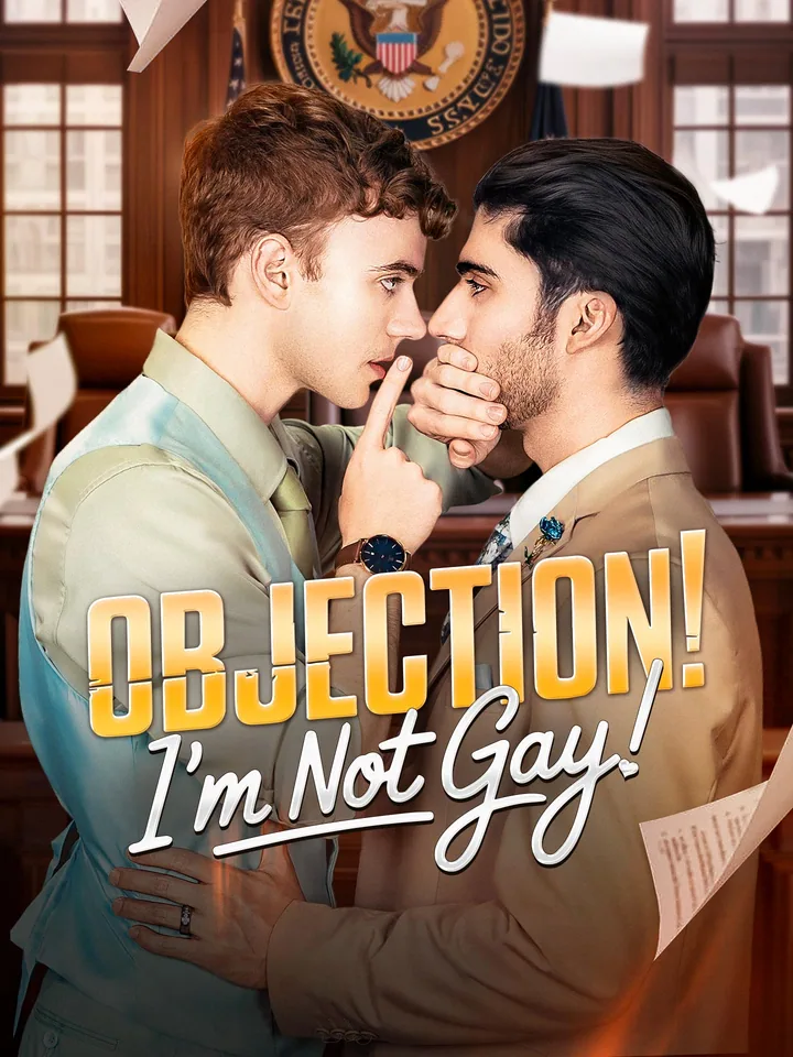 Objection I'm not Gay cover from reference catalogue