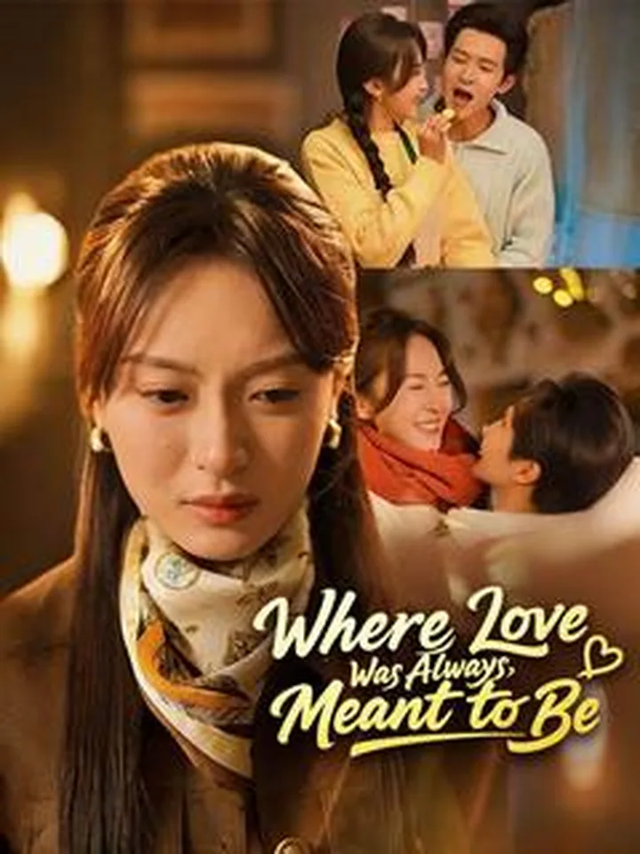 Where Love Was Always Meant to Be(DUBBED) cover from reference catalogue