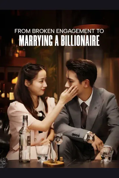 From Broken Engagement to Marrying a Billionaire cover from reference catalogue