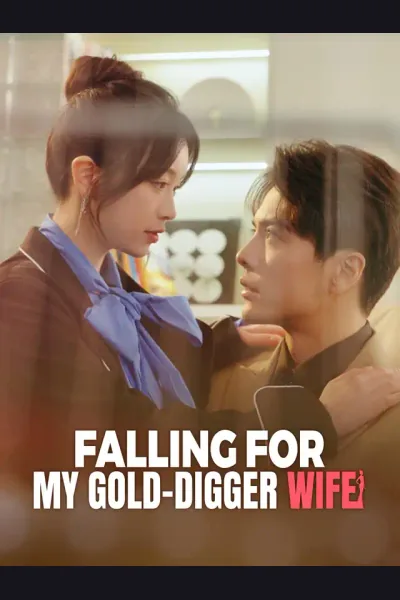 Falling for My Gold-Digger Wife cover from reference catalogue