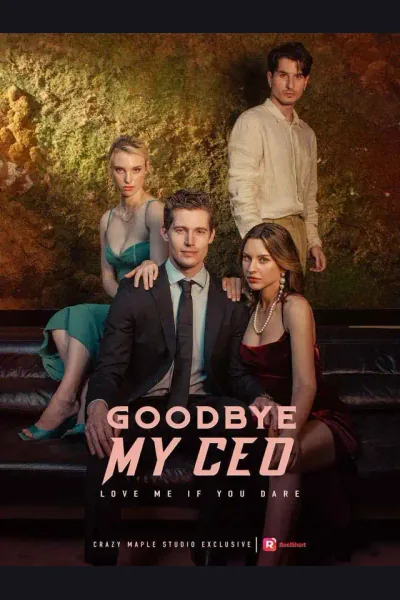 Goodbye, My CEO cover from reference catalogue