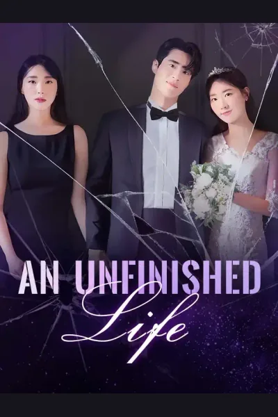 An Unfinished Life cover from reference catalogue