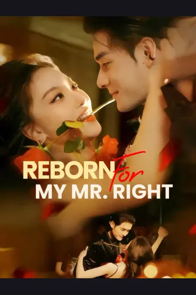 Reborn for My Mr. Right cover from reference catalogue