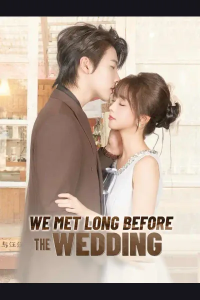 We Met Long Before the Wedding cover from reference catalogue