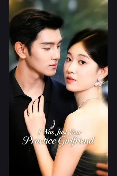 I Was Just Your Practice Girlfriend cover from reference catalogue