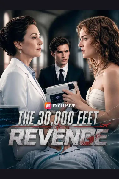 The 30,000 Feet Revenge cover from reference catalogue