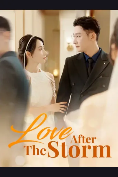Love After The Storm cover from reference catalogue