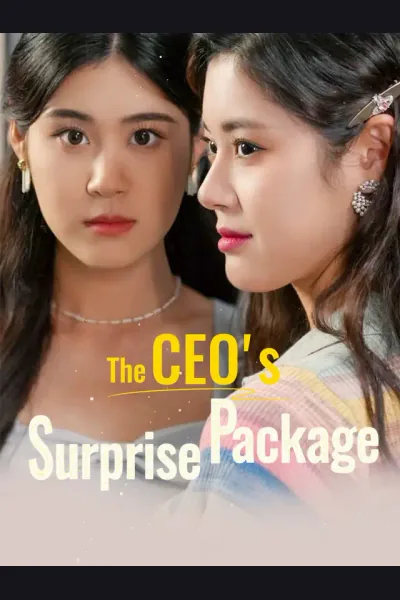The CEO's Surprise Package cover from reference catalogue
