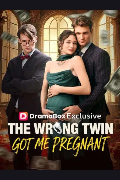 The Wrong Twin Got Me Pregnant cover from reference catalogue
