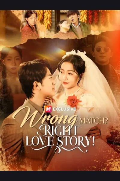 Wrong Match? Right Love Story! cover from reference catalogue