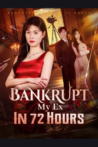 Bankrupt My Ex In 72 Hours cover from reference catalogue