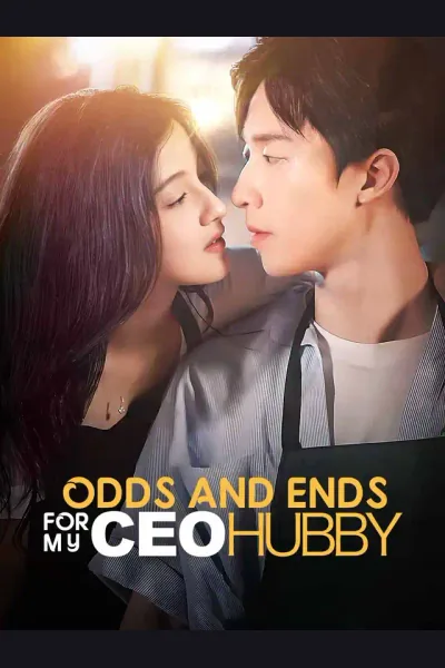 Odds and Ends for My CEO Hubby cover from reference catalogue