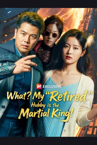 What? My "Retired" Hubby is the Martial King! cover from reference catalogue