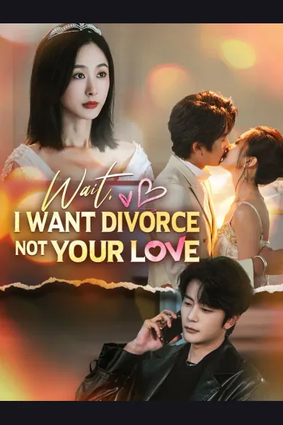 Wait, I Want Divorce Not Your Love cover from reference catalogue