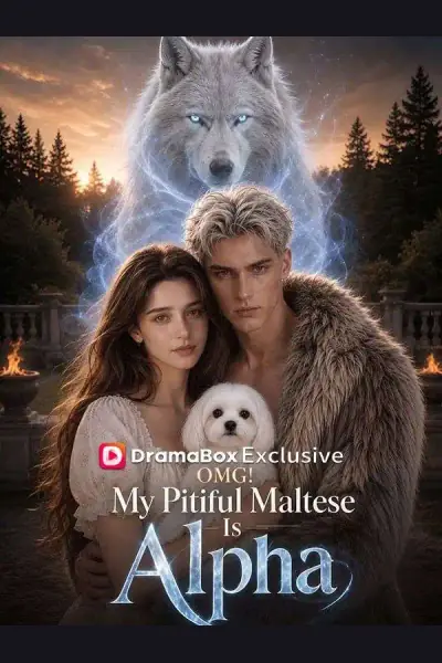 OMG! My Pitiful Maltese Is Alpha cover from reference catalogue