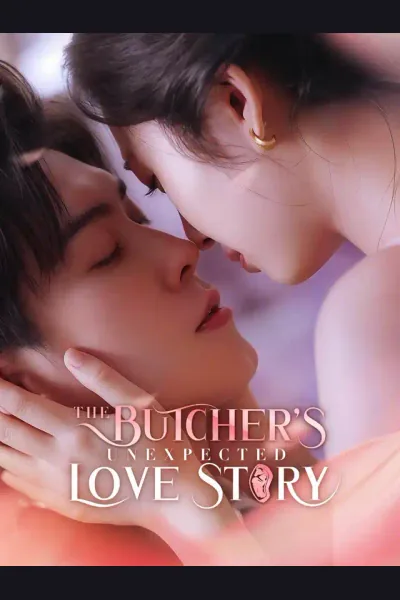 The Butcher's Unexpected Love Story cover from reference catalogue