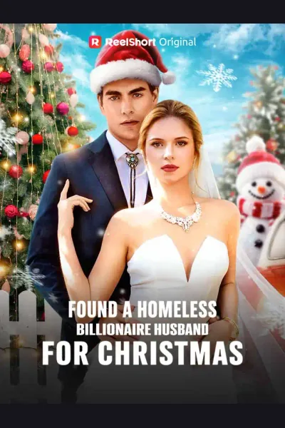 Found A Homeless Billionaire Husband for Christmas cover from reference catalogue
