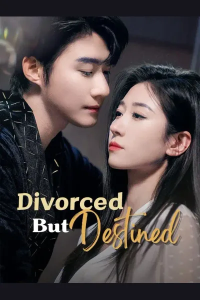 Divorced But Destined cover from reference catalogue