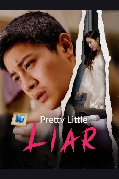 Pretty Little Liar cover from reference catalogue