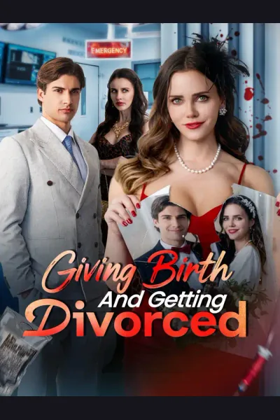 Giving Birth and Getting Divorced cover from reference catalogue