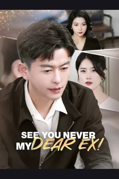 See You Never, My Dear Ex! cover from reference catalogue