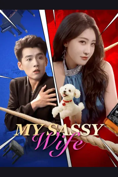 My Sassy Wife cover from reference catalogue