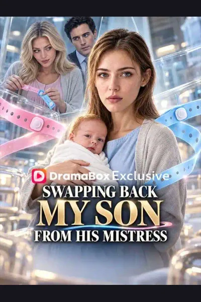 Reborn: Swapping Back My Son from His Mistress cover from reference catalogue