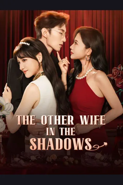The Other Wife In The Shadows cover from reference catalogue