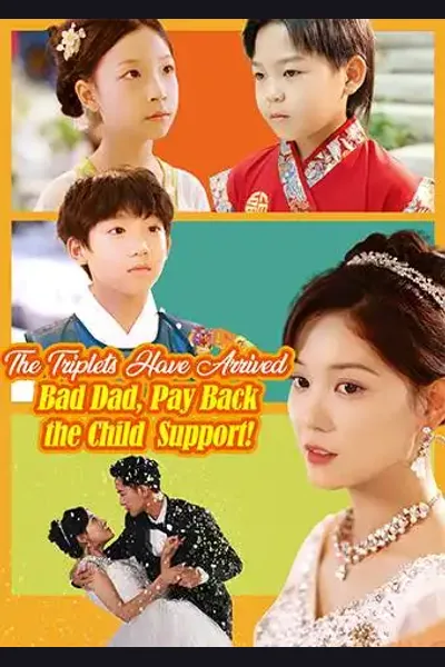 The Triplets Have Arrived: Bad Dad, Pay Back the Child Support cover from reference catalogue