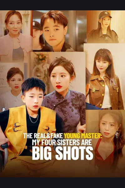 The Real&Fake Young Master: My Four Aunties Are Big Shots cover from reference catalogue