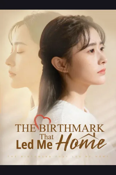 The Birthmark That Led Me Home cover from reference catalogue