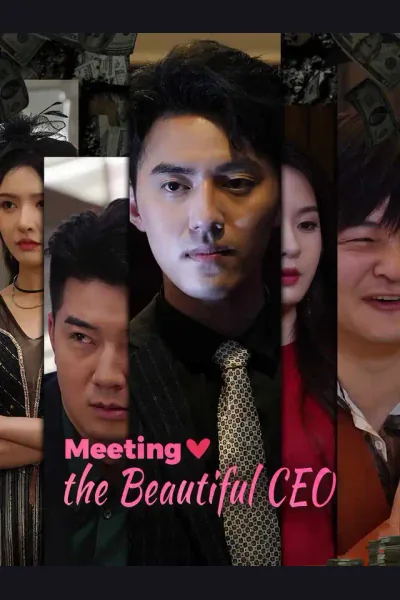 Meeting the Beautiful CEO cover from reference catalogue