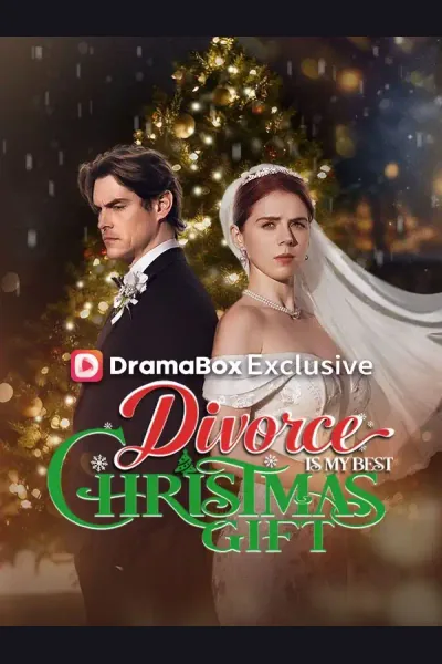 Divorce Is My Best Christmas Gift cover from reference catalogue