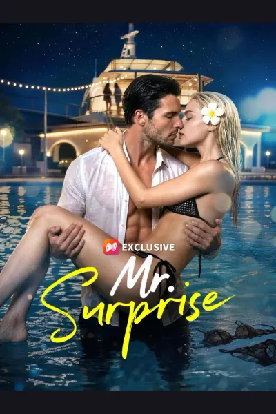 Mr. Surprise cover from reference catalogue