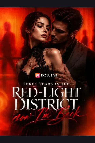 Three Years in the Red-Light District, now I'm Back cover from reference catalogue