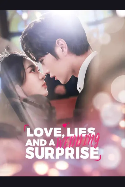 Love, Lies, and a Wedding Surprise cover from reference catalogue