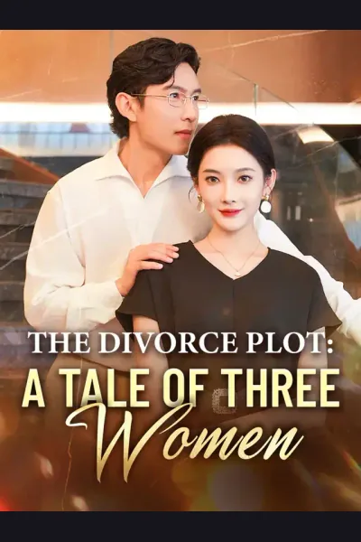 The Divorce Plot: A Tale Of Three Women cover from reference catalogue
