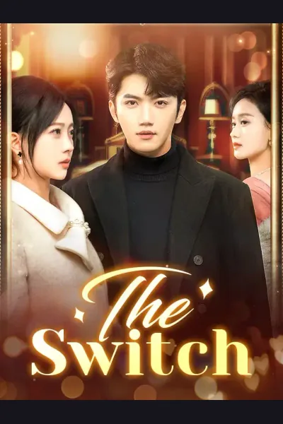 The Switch cover from reference catalogue