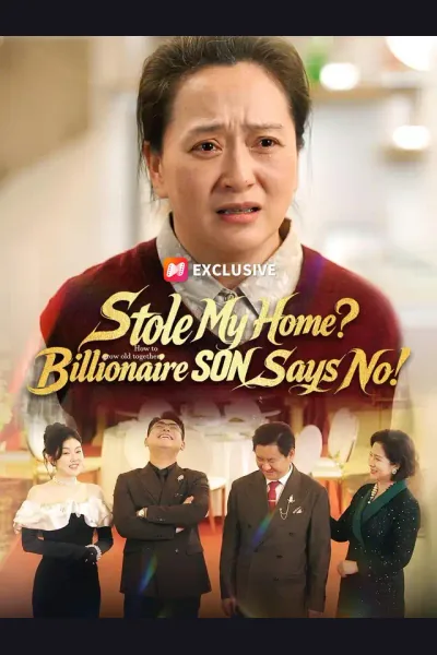 Stole My Home? Billionaire SON Says No! cover from reference catalogue
