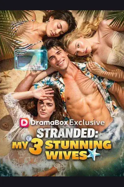 Stranded: My 3 Stunning Wives cover from reference catalogue