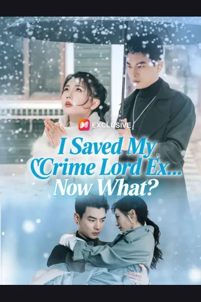 I Saved My Crime Lord Ex... Now What? cover from reference catalogue