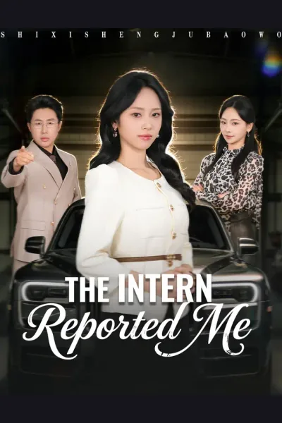The Intern Reported Me cover from reference catalogue