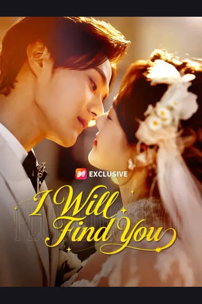 I Will Find You cover from reference catalogue