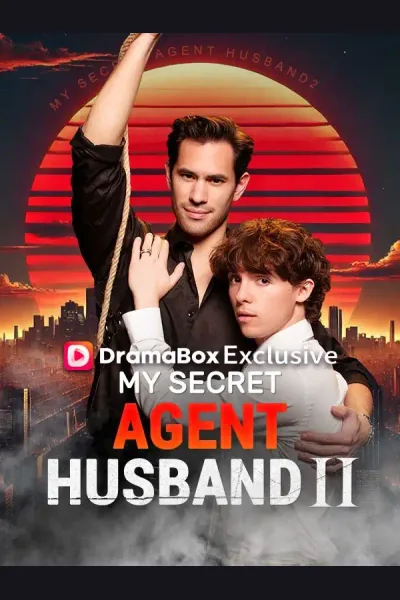 My Secret Agent Husband 2 cover from reference catalogue
