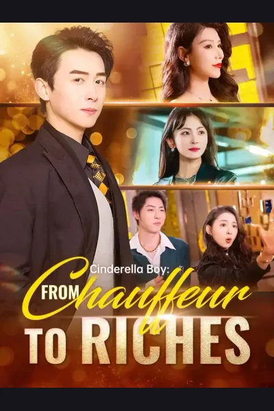 Cinderella Boy: From Chauffeur To Riches cover from reference catalogue