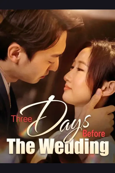 Three Days Before The Wedding cover from reference catalogue
