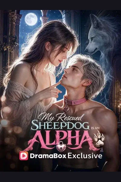 My Rescued Sheepdog Is An Alpha King cover from reference catalogue