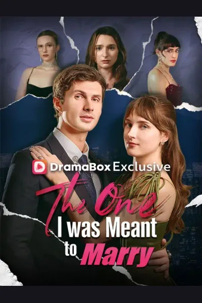 The One I was Meant to Marry cover from reference catalogue
