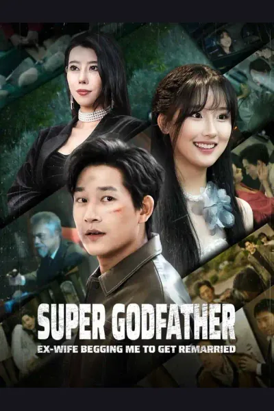Super Godfather: Ex-wife Begging Me to Get Remarried cover from reference catalogue